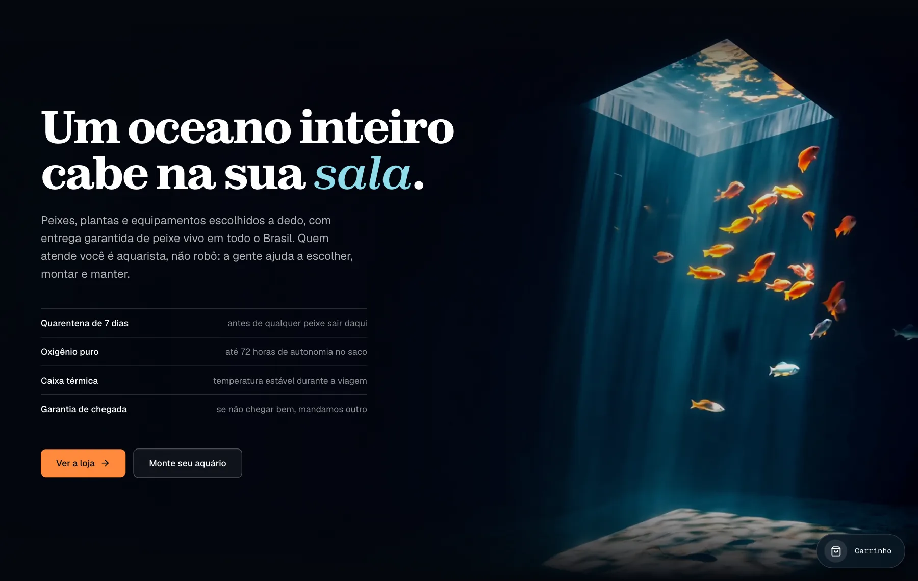 Dobra com o título Um oceano inteiro cabe na sua sala e um vídeo de peixes laranja num feixe de luz