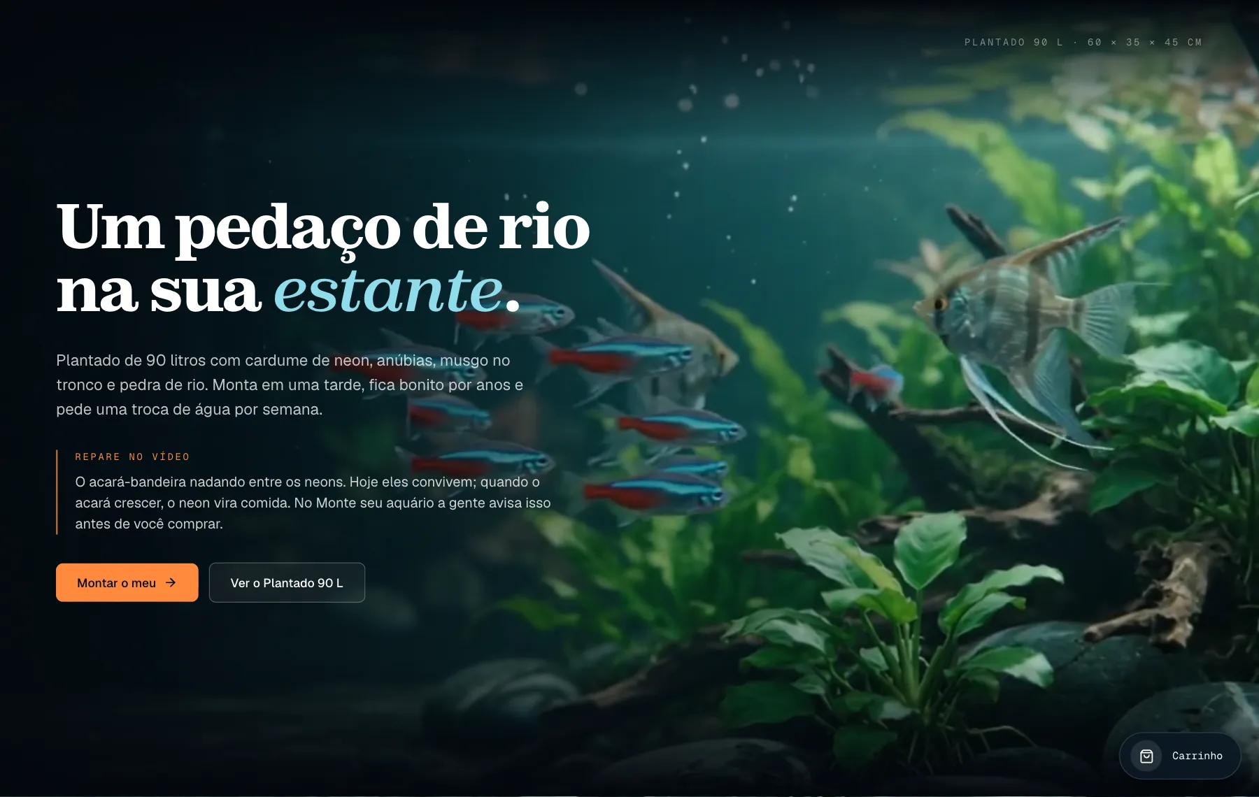 Vídeo de um aquário plantado com neons e um acará-bandeira, com o título Um pedaço de rio na sua estante